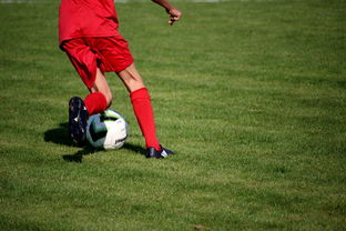 开云体育入口-国家队战术体系缺乏灵活应变能力，国家队战术体系缺乏灵活应变能力的原因  第2张